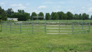 How to Choose Safe Corral Panels for Your Horses