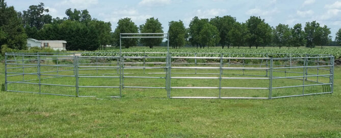 How to Choose Safe Corral Panels for Your Horses