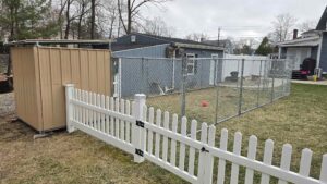 7 Things to Know Before Buying a Custom Dog Shelter – Main 7 Things to Know Before Buying a Custom Dog Shelter - Main